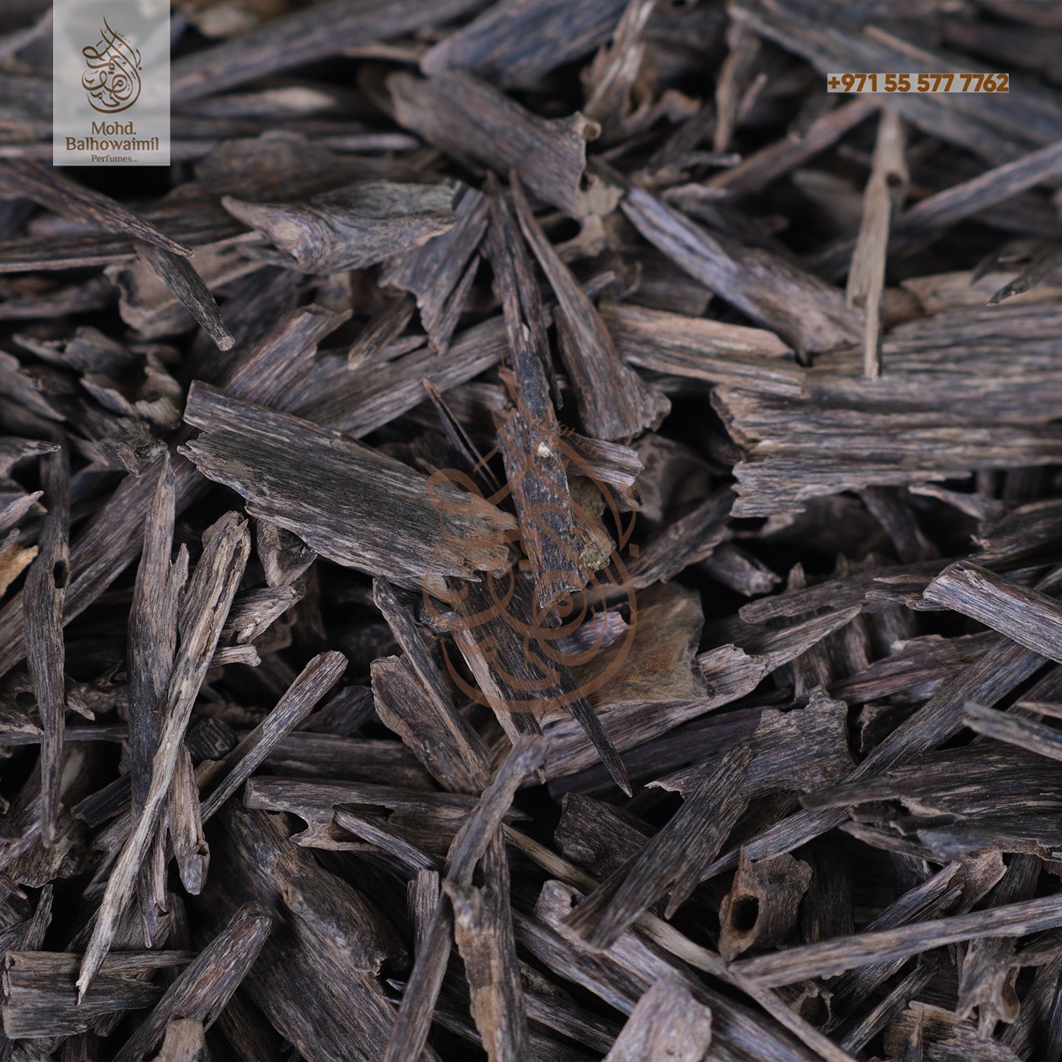 Oudh- Hindi Nagaland Oudh- Hindi Nagaland