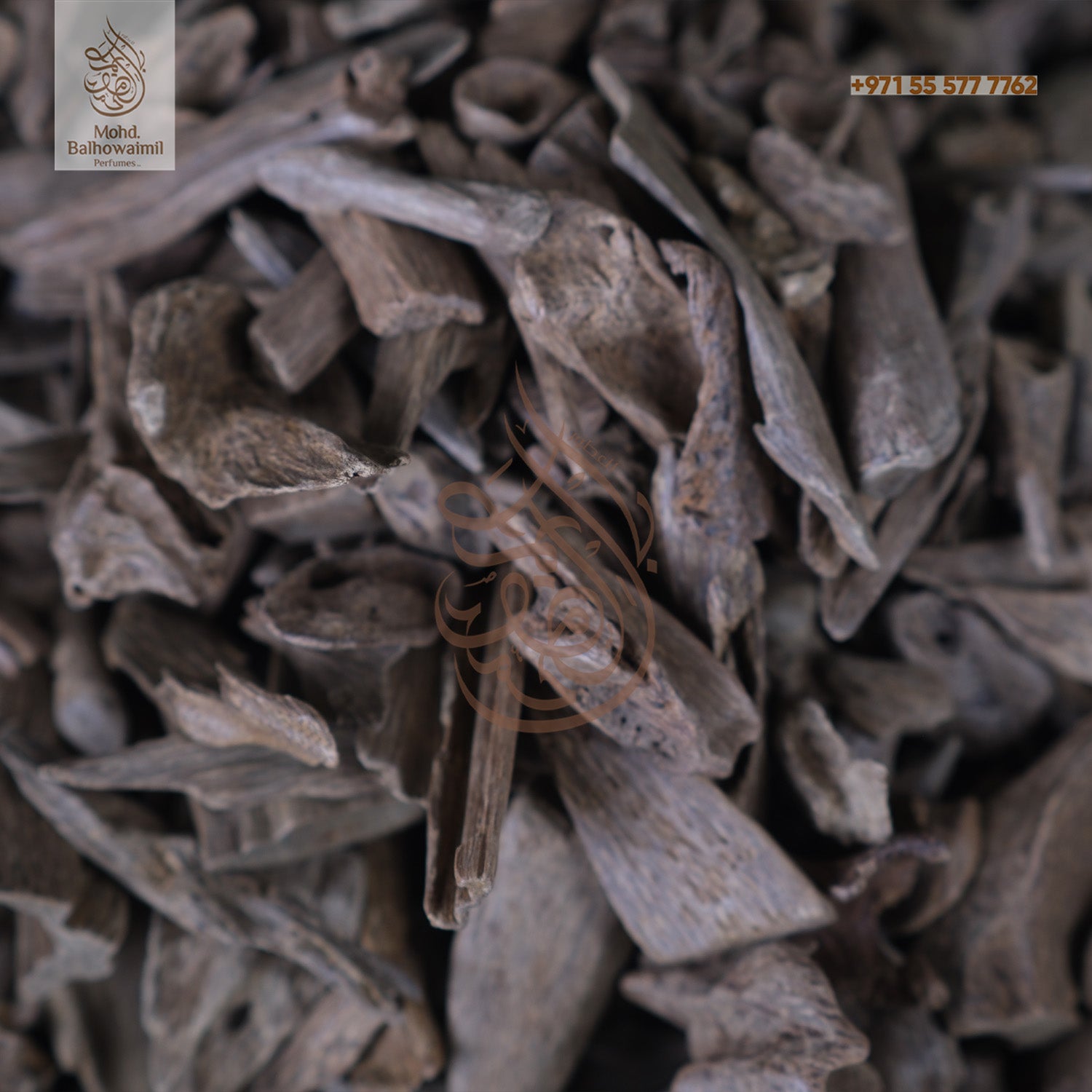 Oudh- Underwater Small Oudh- Underwater Small