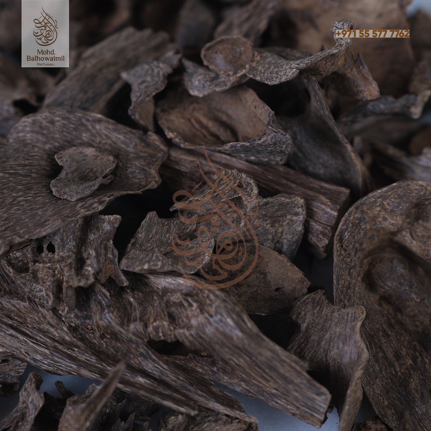 Oudh- Silani King Oudh- Silani King