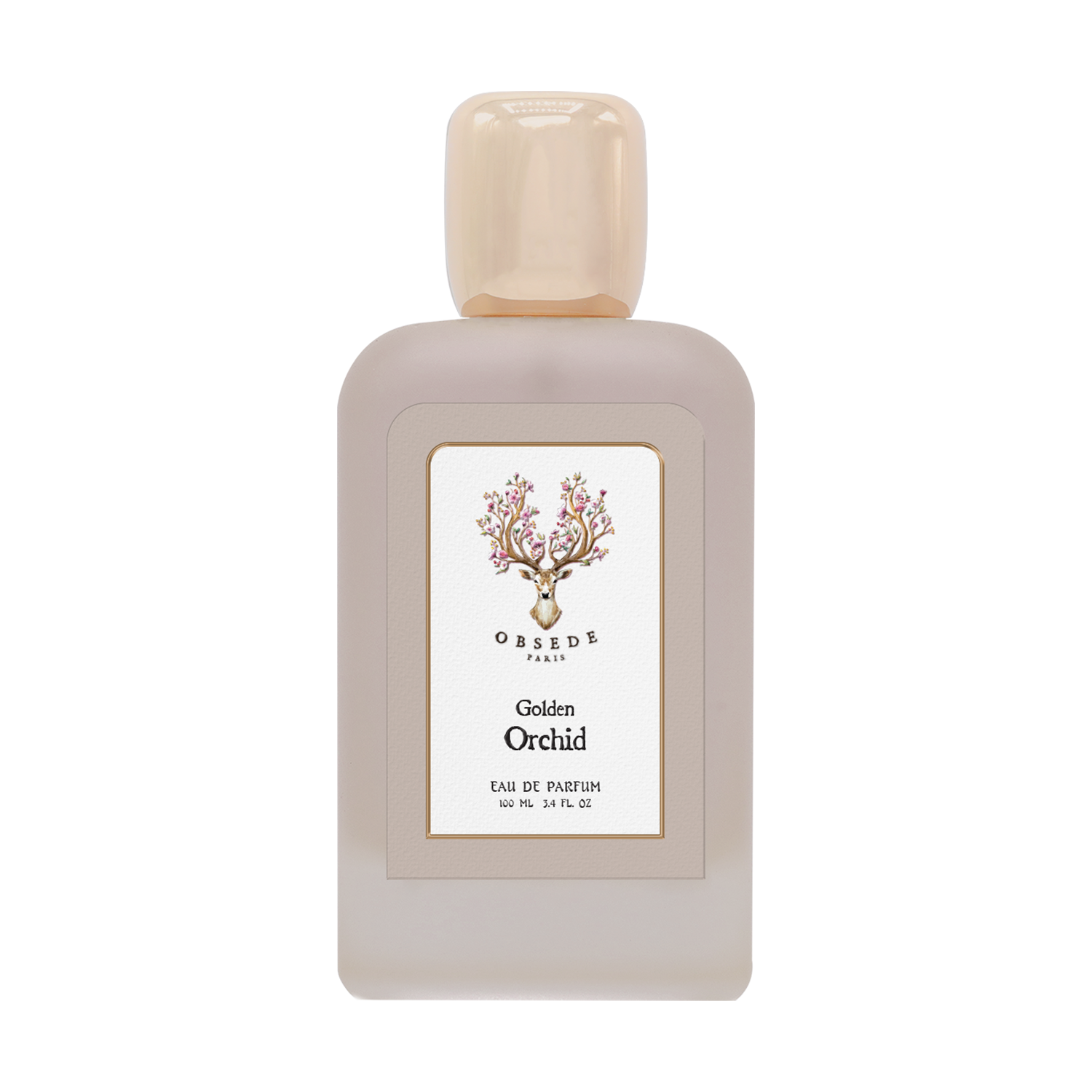 الأوركيد الذهبي الأوركيد الذهبي