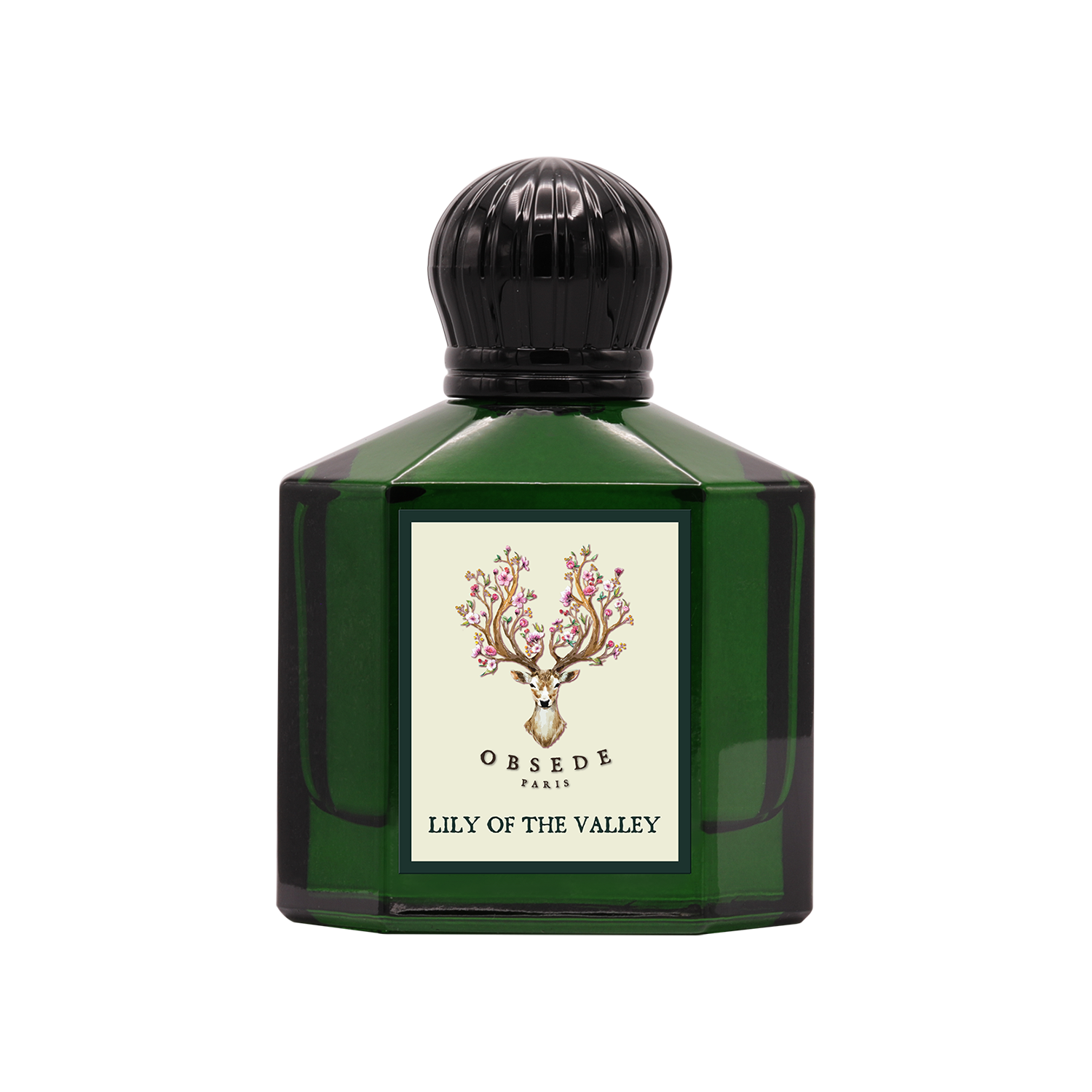 زنبق الوادي زنبق الوادي