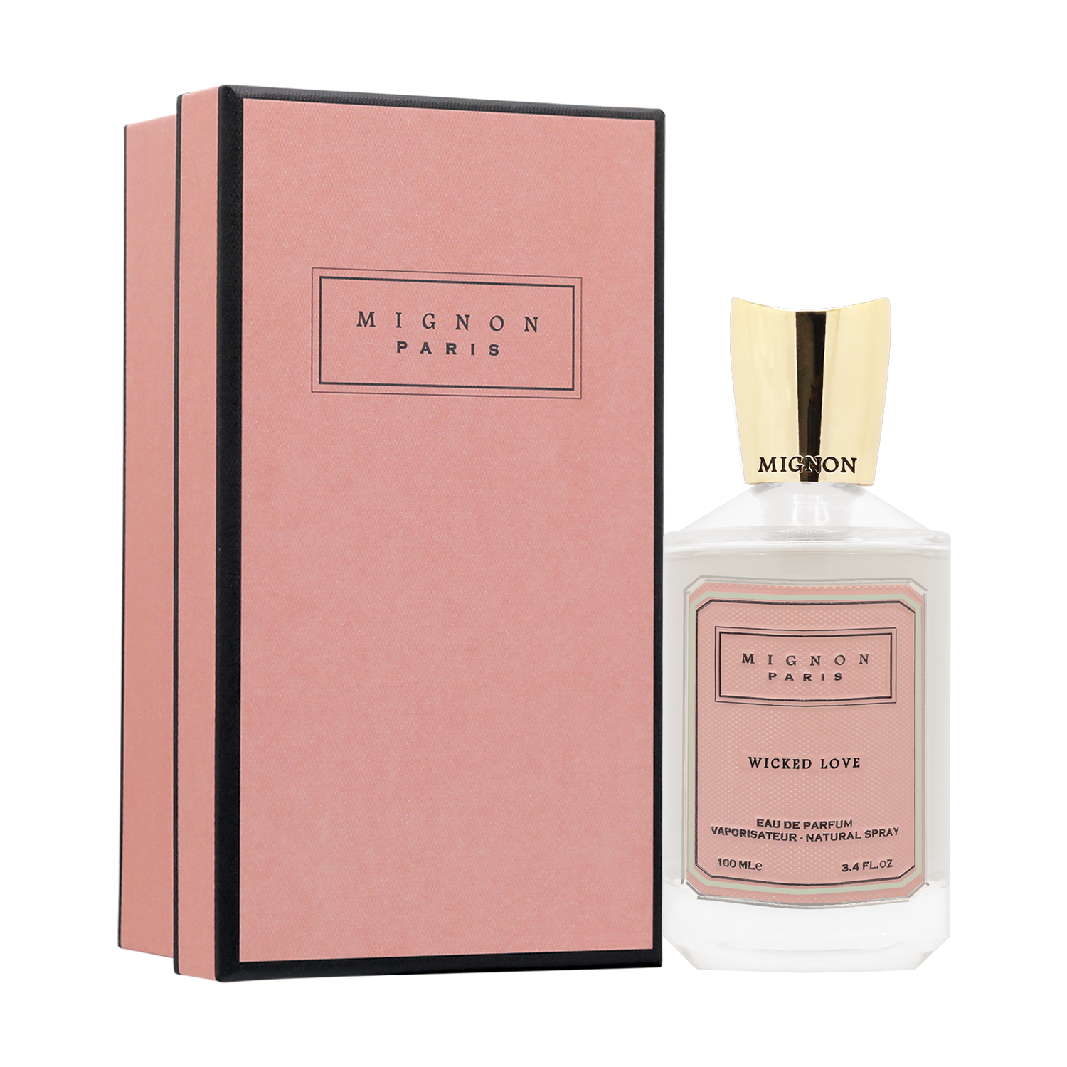 Wicked Love Wicked Love