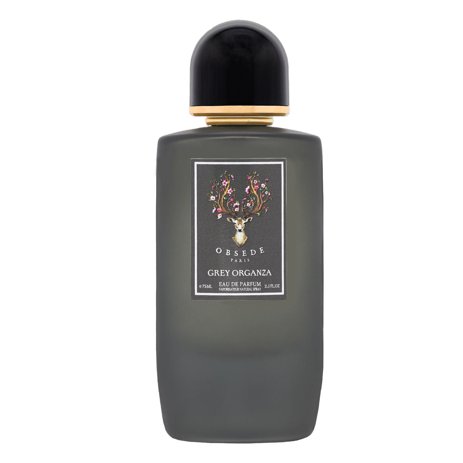 الأورجانزا الرمادية الأورجانزا الرمادية