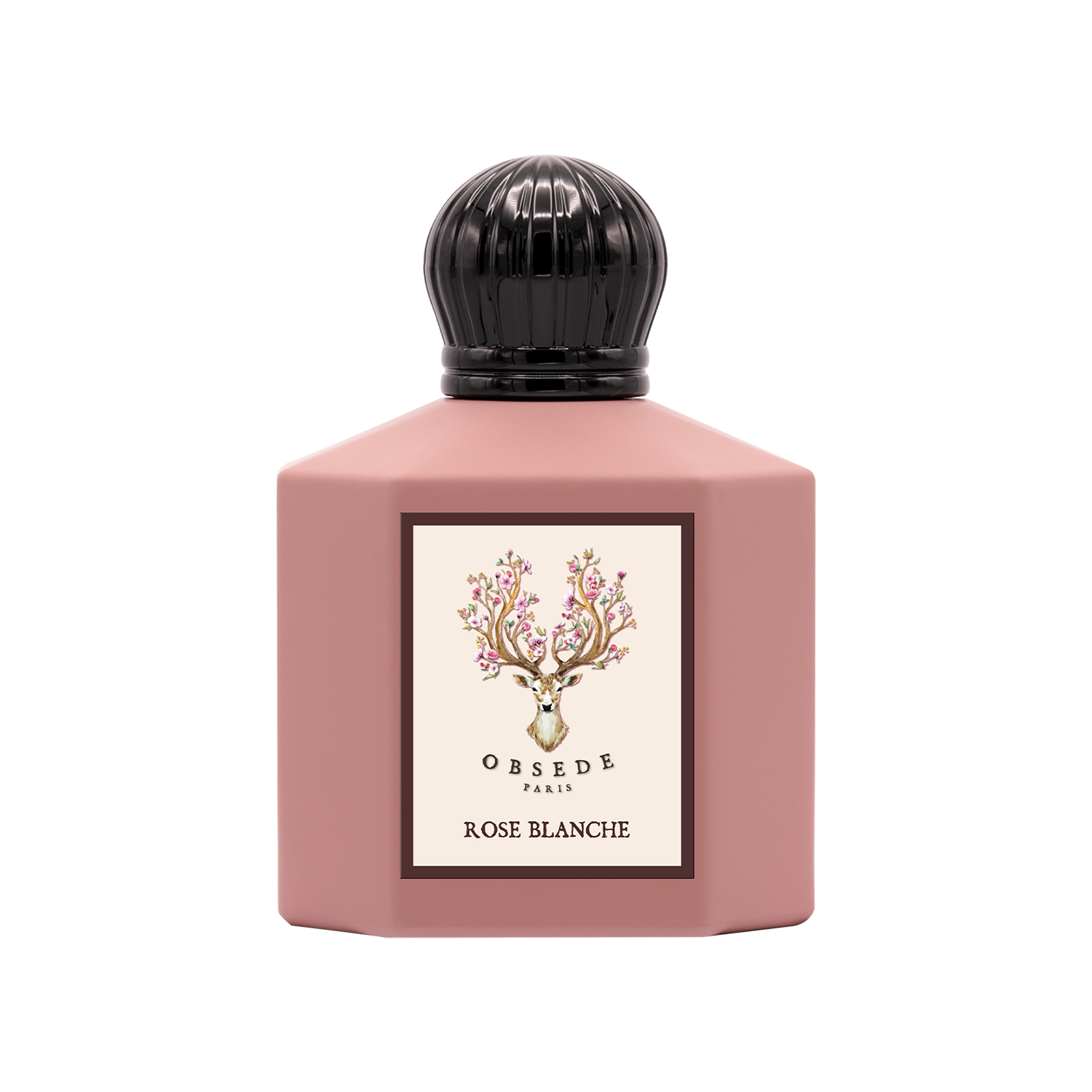 روز بلانش روز بلانش