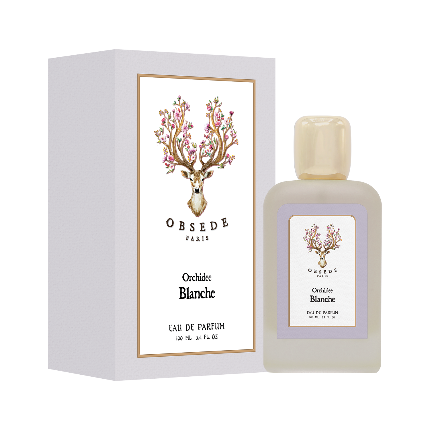 أوركيد بلانش أوركيد بلانش