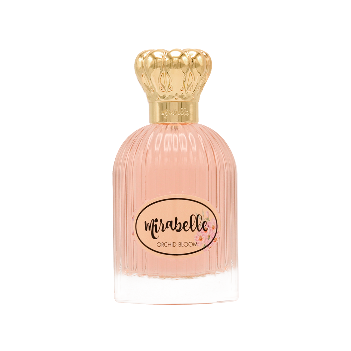 زهرة الأوركيد زهرة الأوركيد