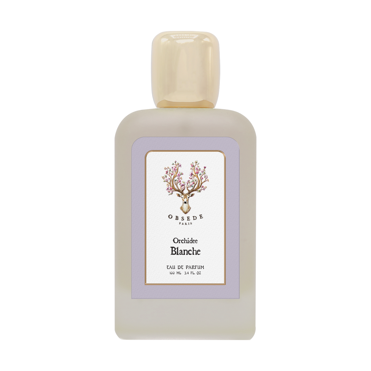 أوركيد بلانش أوركيد بلانش