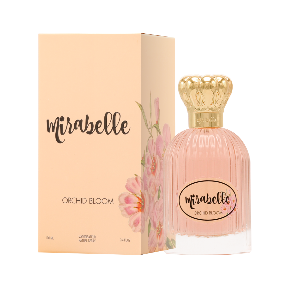 زهرة الأوركيد زهرة الأوركيد