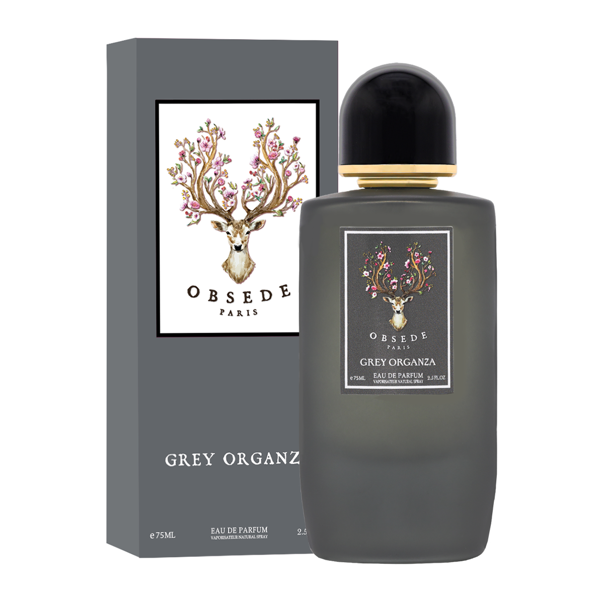 الأورجانزا الرمادية الأورجانزا الرمادية