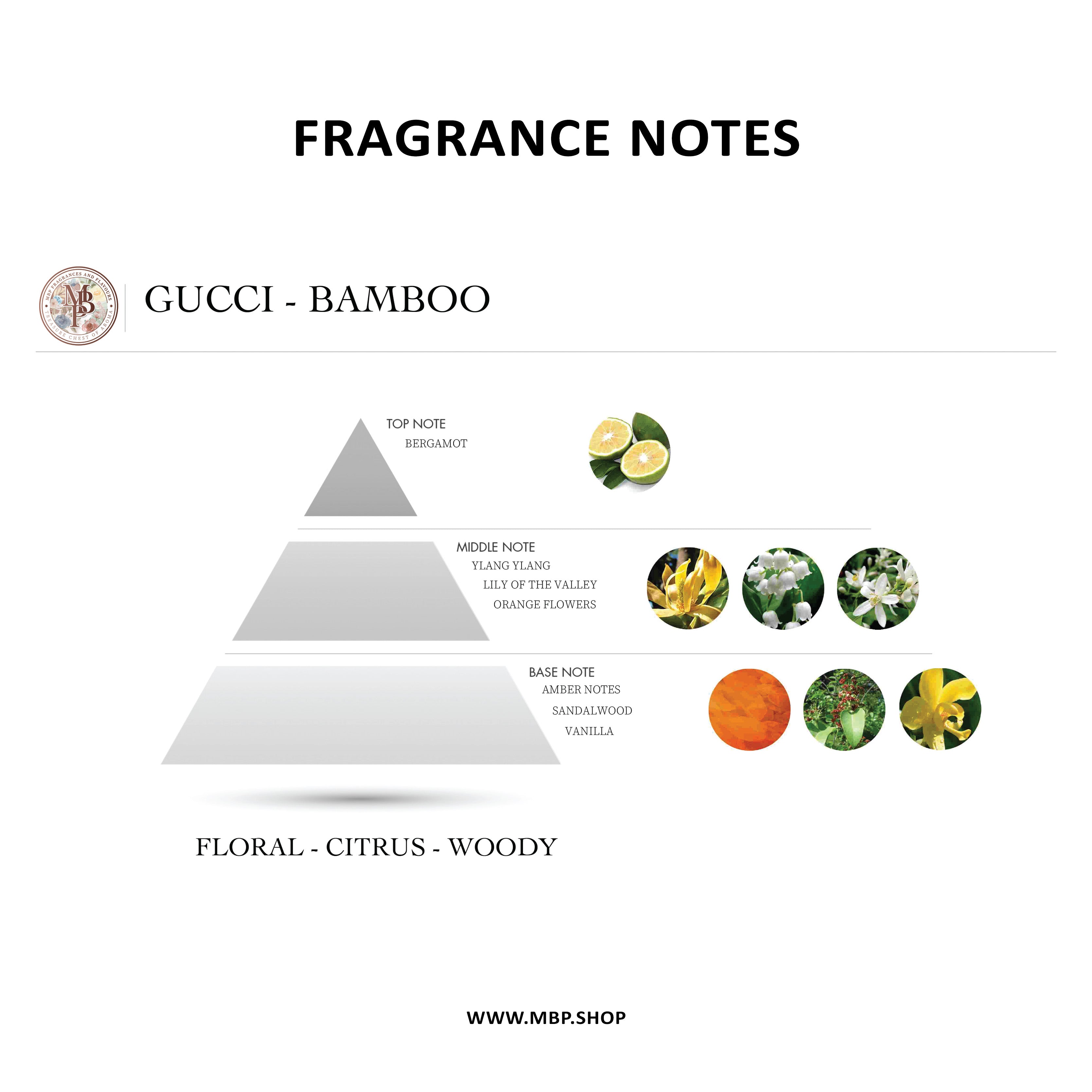 غوتشي - بامبو غوتشي - بامبو