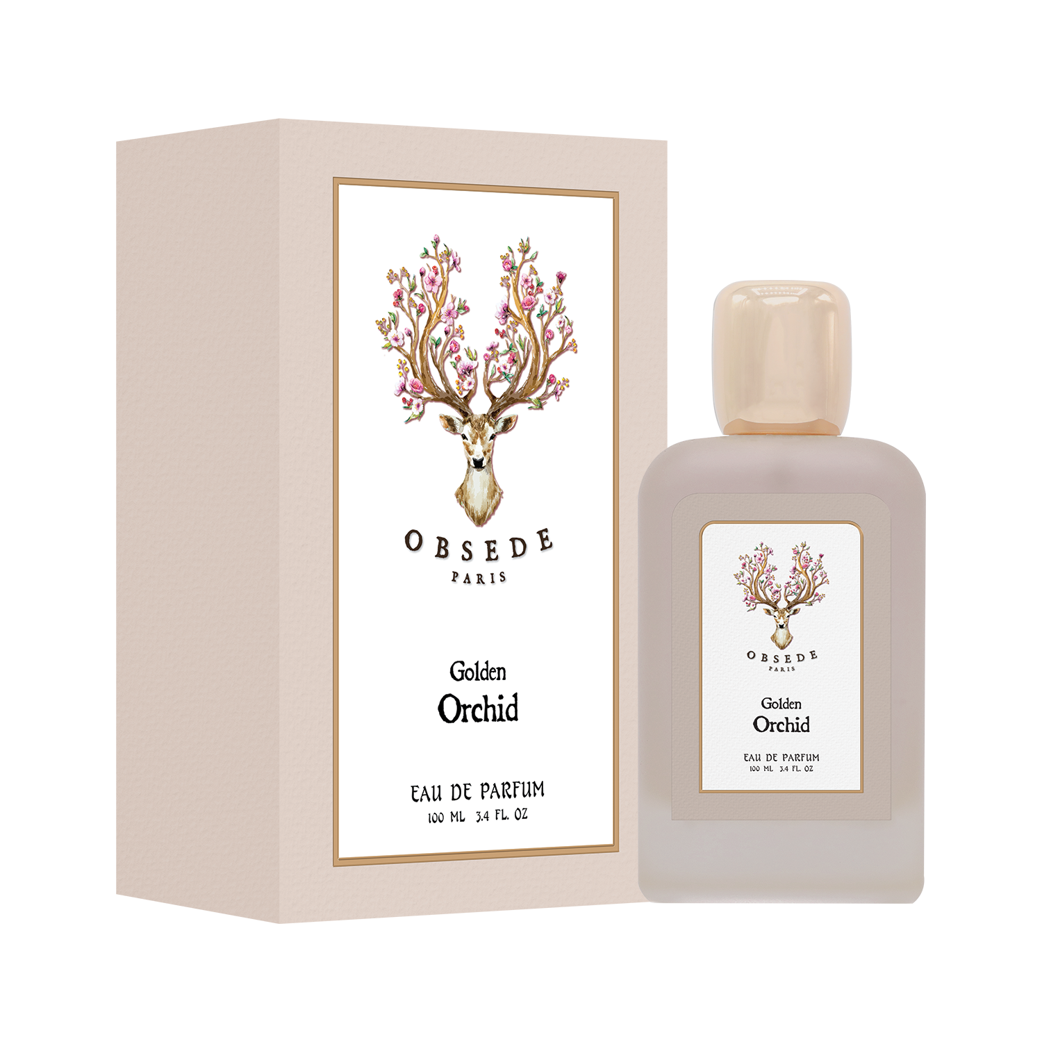 الأوركيد الذهبي الأوركيد الذهبي