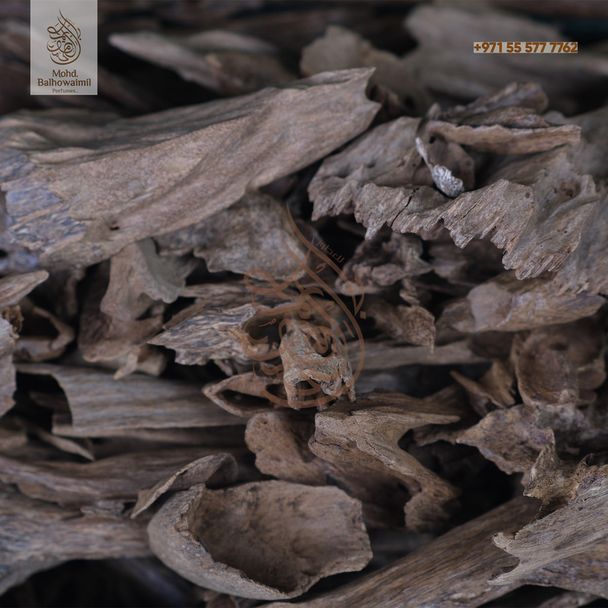 Oudh- Bormi King