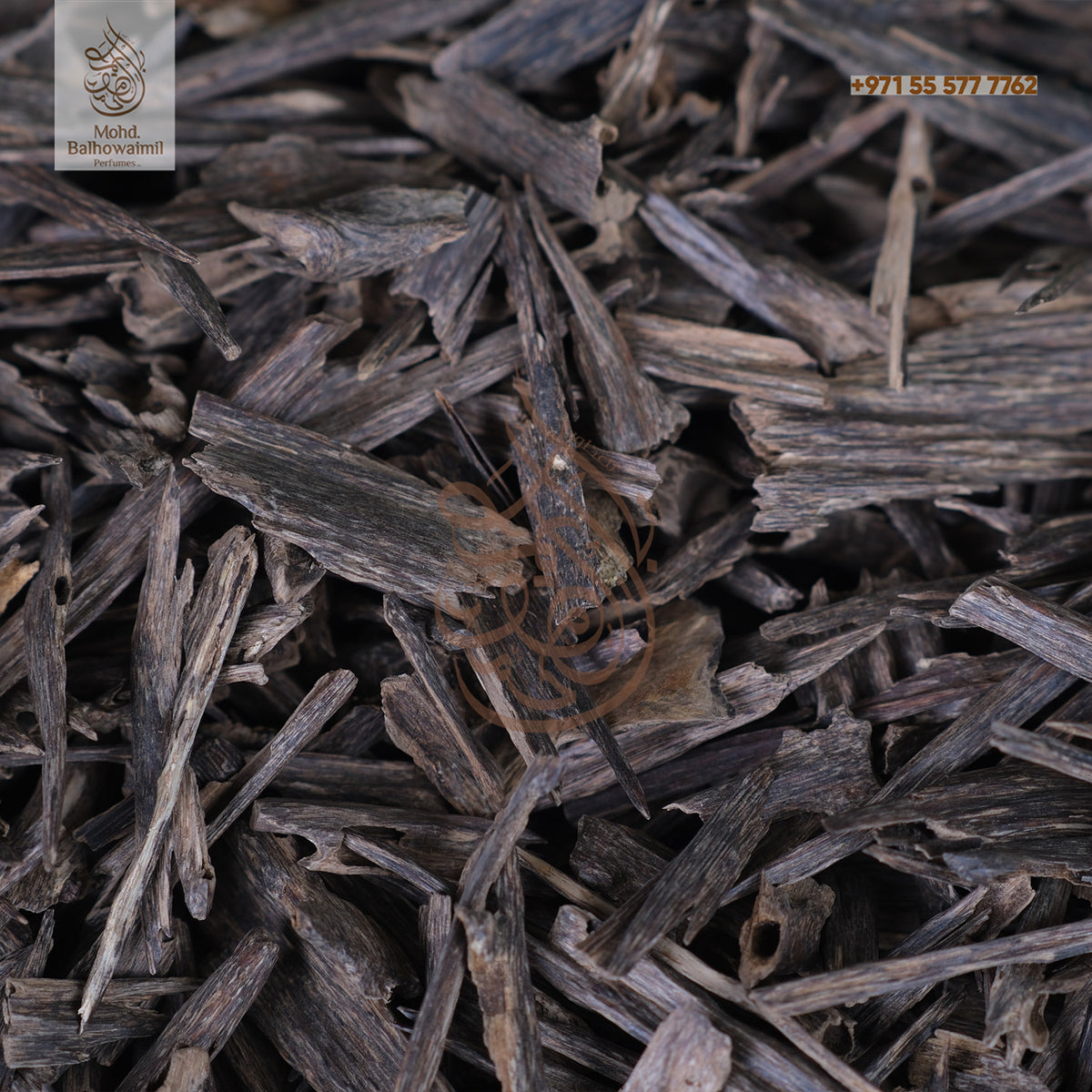 Oudh- Hindi Nagaland