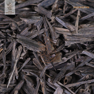 Oudh- Hindi Nagaland