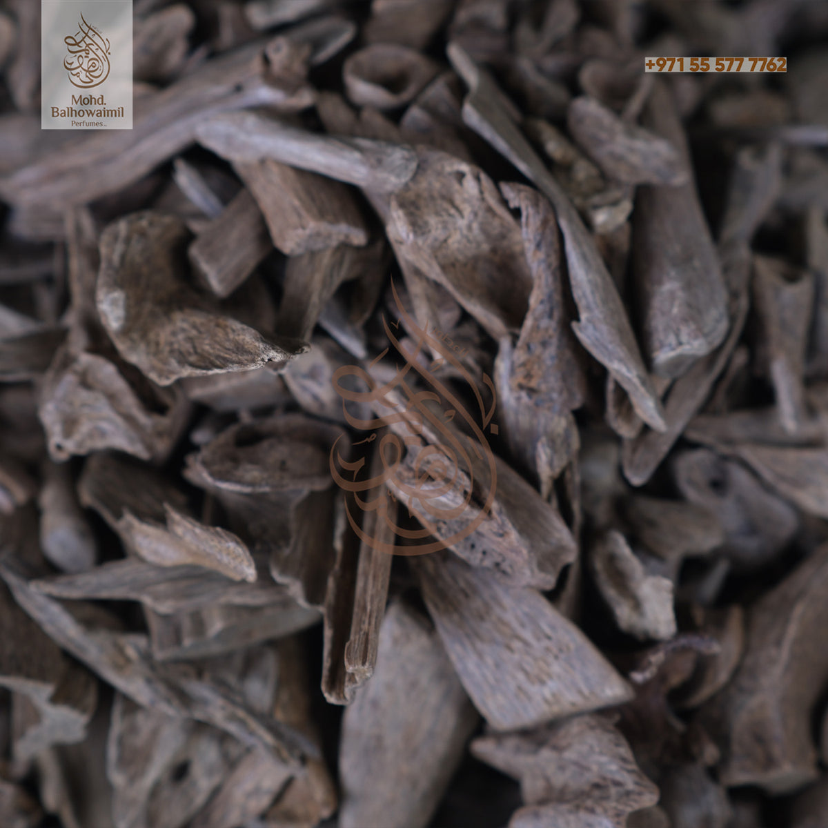 Oudh- Underwater Small