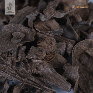 Oudh- Silani King