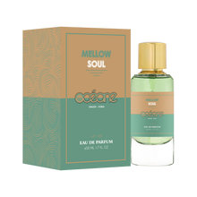 MELLOW SOUL