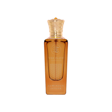 Luminous Luster