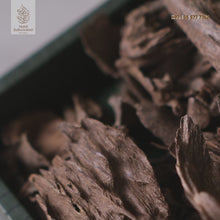 Oudh- Silani King