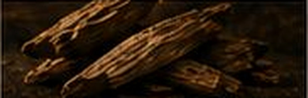 Cambodian Oud