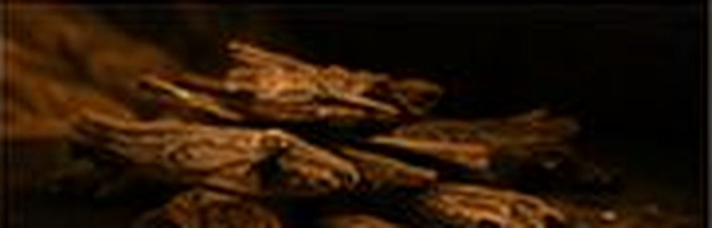 Hindi Oud
